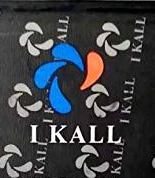 IKall (K1000) 3000mAh Li-ion оригинал, акб IKall K2 Plus, батарея IKall K4 Plus, аккумулятор IKall K7 New, battery IKall K540, IKall K550 батарея купить