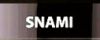 Snami