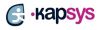 Kapsys